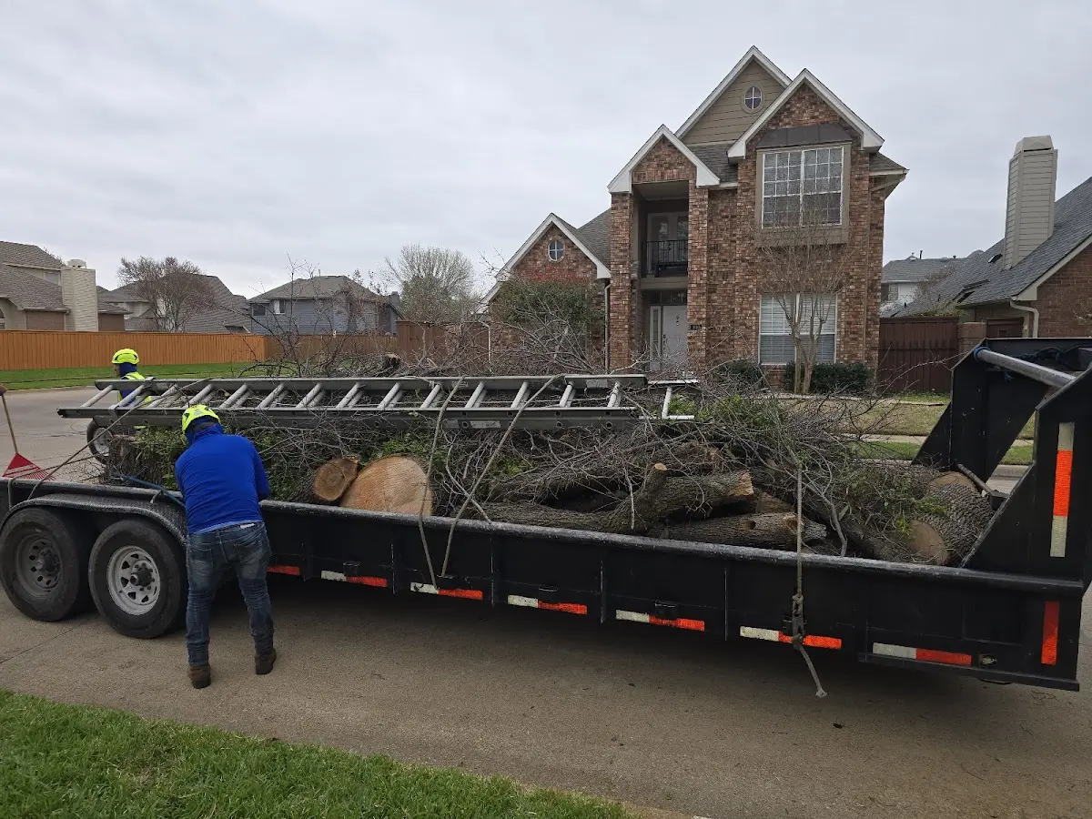 Expert Tree Pest Control with proper safety equipment in Long Lake